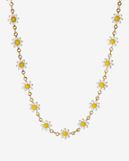Daisy Set
