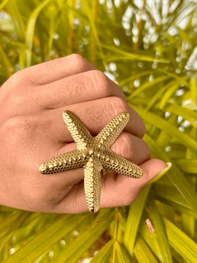 Starfish